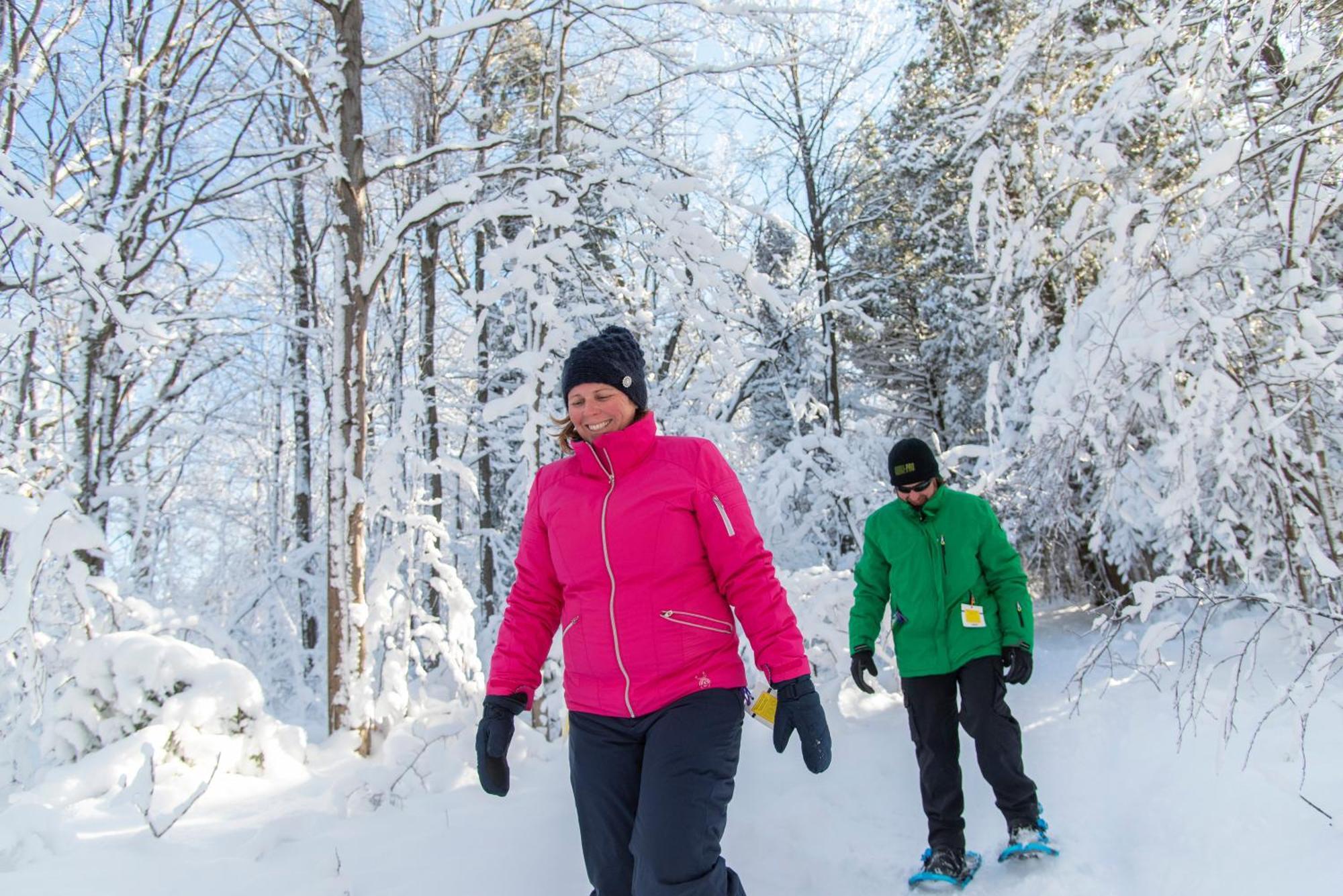 Blue Mountain Resort Inn بلو ماونتينز المظهر الخارجي الصورة
