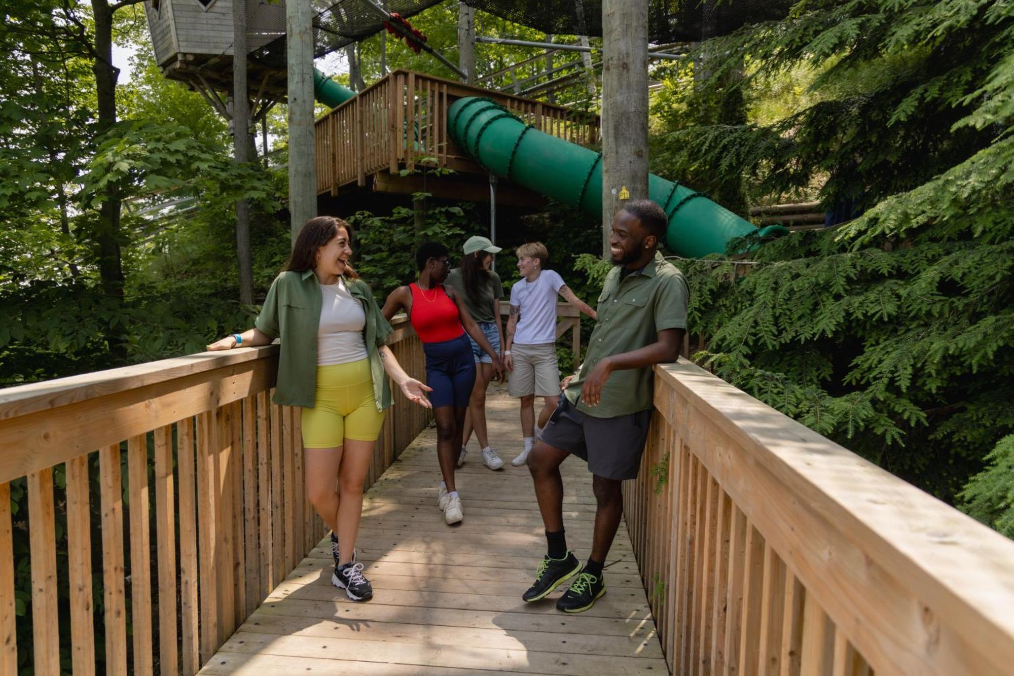 Blue Mountain Resort Inn بلو ماونتينز المظهر الخارجي الصورة
