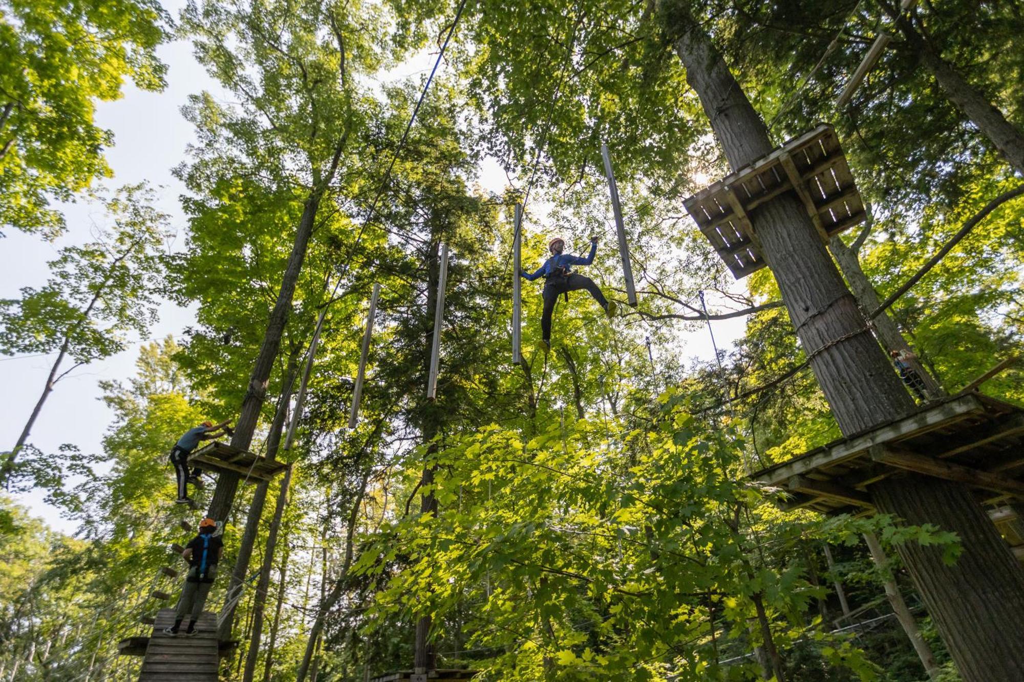 Blue Mountain Resort Inn بلو ماونتينز المظهر الخارجي الصورة